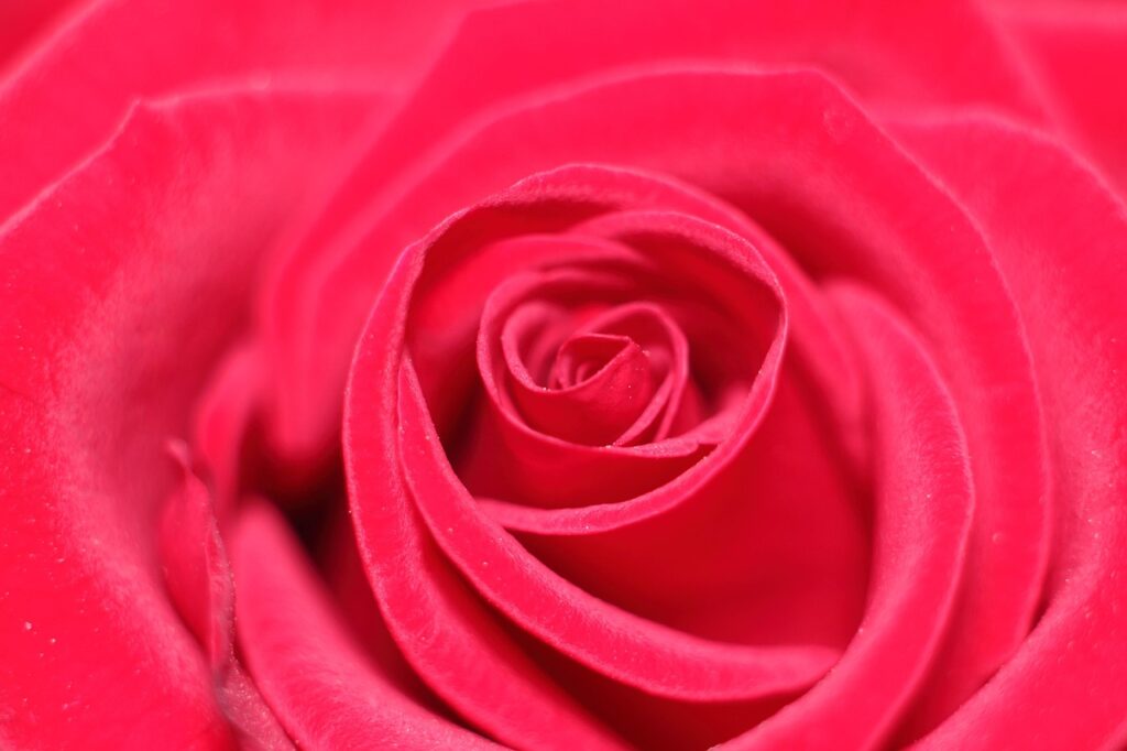 恋愛詐欺に遭った場合、弁護士に依頼する際の費用はどのくらい？